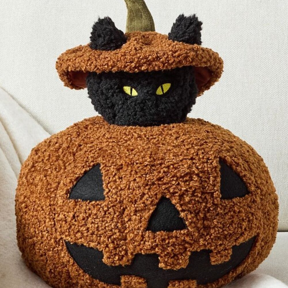 SOLD ON EBAY Peek A Boo Cat Pillow from POTTERY BARN 🎃🐈‍⬛